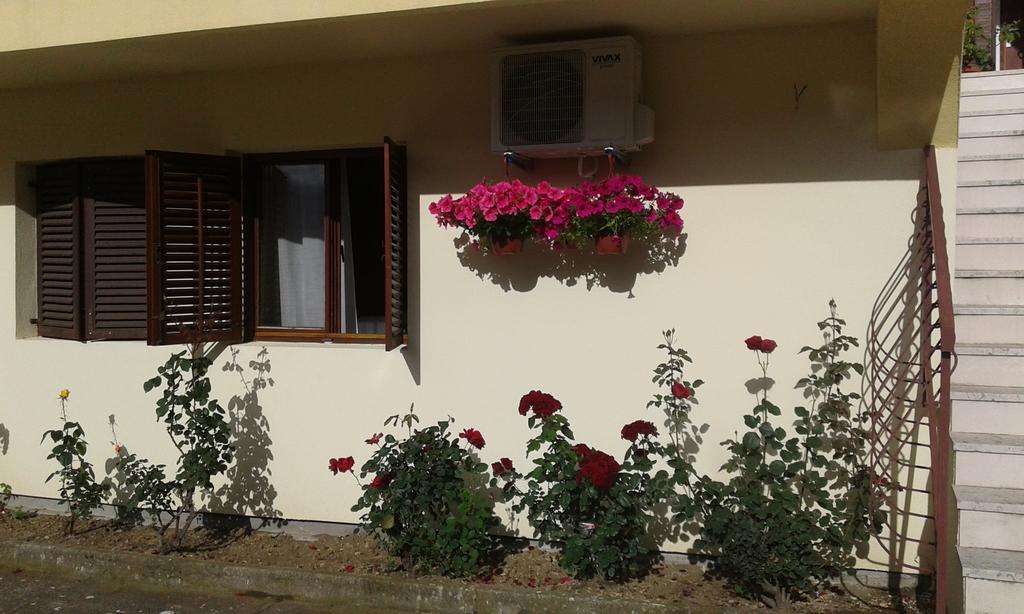 Apartment Adela Kotor Kültér fotó